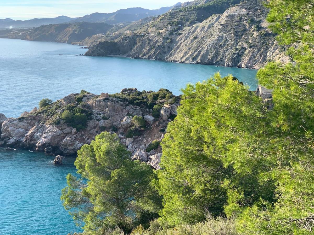 Villa Andrea Nerja Kültér fotó